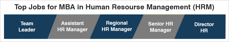 MBA In Human Recourse