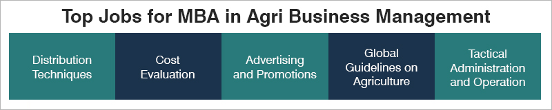 MBA in Agri Business