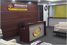 Regenesys Institute of Management