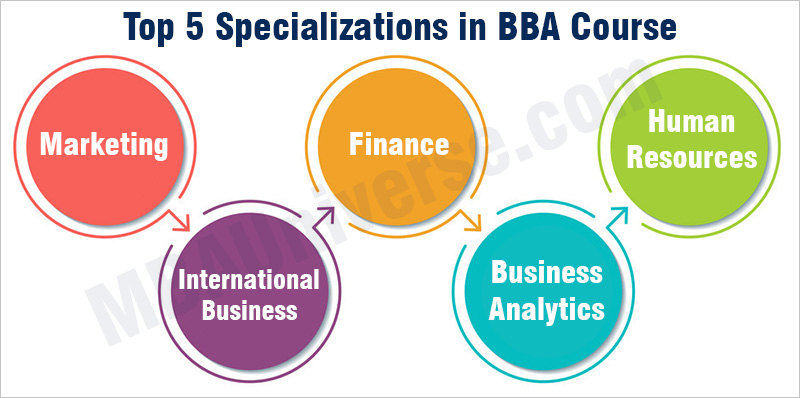 bba specializations